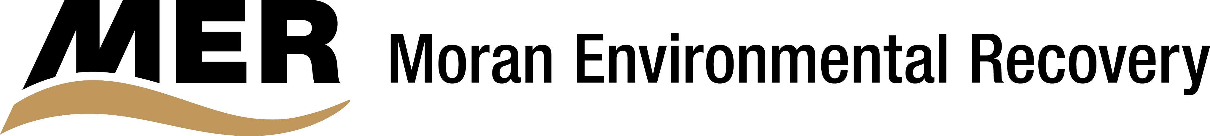 Logo for: Moran Environmental